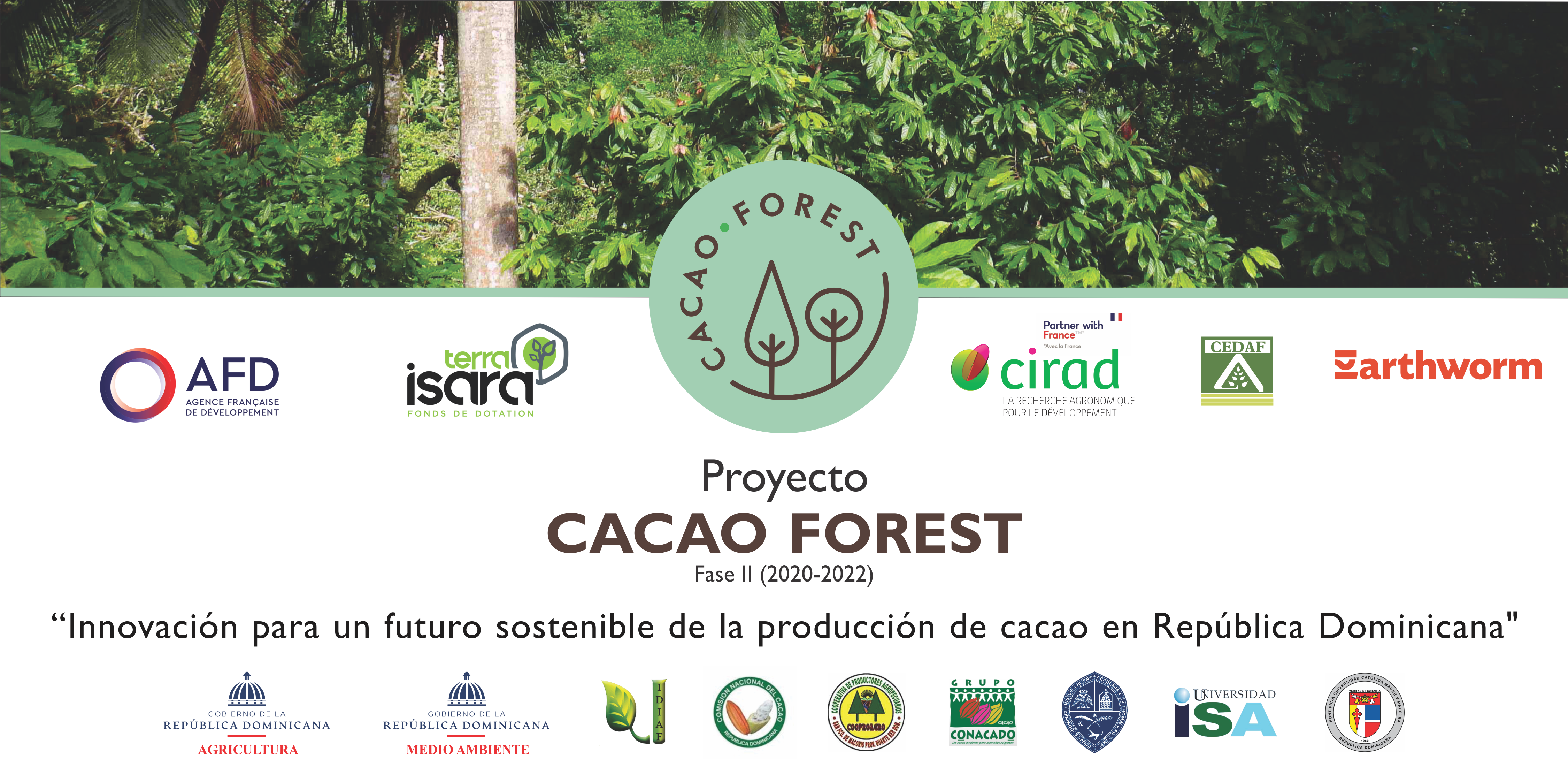 cacao_forest